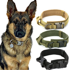 Dog Collar - S.E. Burks Global Marketplace