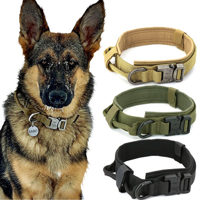 Dog Collar - S.E. Burks Global Marketplace