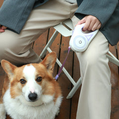 Led Lights Dog Leash - S.E. Burks Global Marketplace